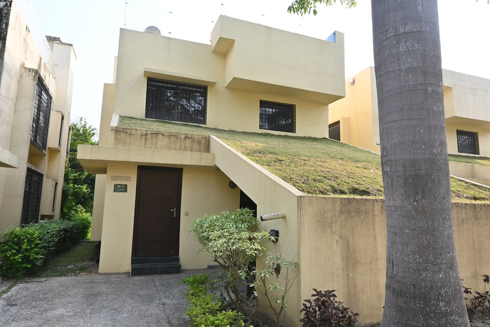 Aqua Bungalow exterior with a planted roof and palm tree
